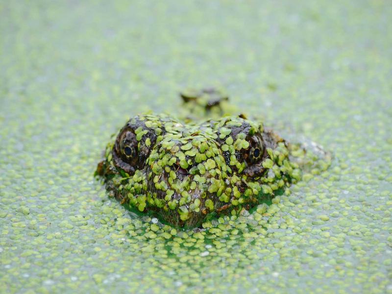 生化奇兵<br>lyd4nhjn.cn 极乐城销魂